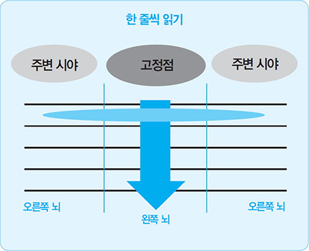 한줄씩읽기