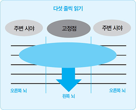 다섯줄씩읽기